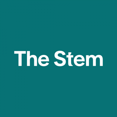 Five Amazing Uses of Aloe Vera | The Stem