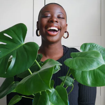 Hero Georgette Monstera optimised