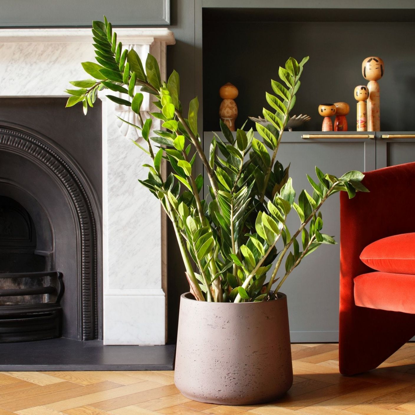 Best Bedroom Plants For Better Sleep The Stem