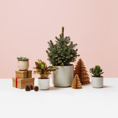 Decorating for christmas