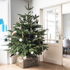 How to care for your office Christmas tree