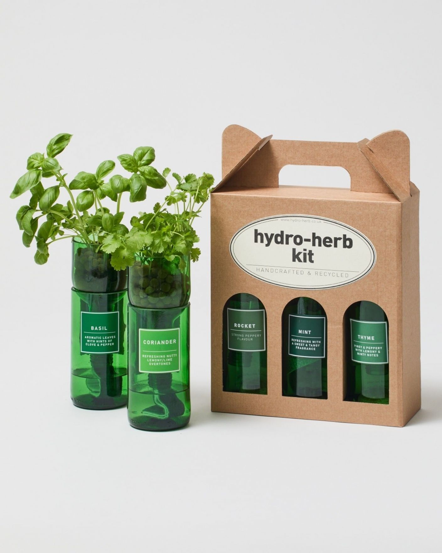 Best Plants For Your Kitchen The Stem