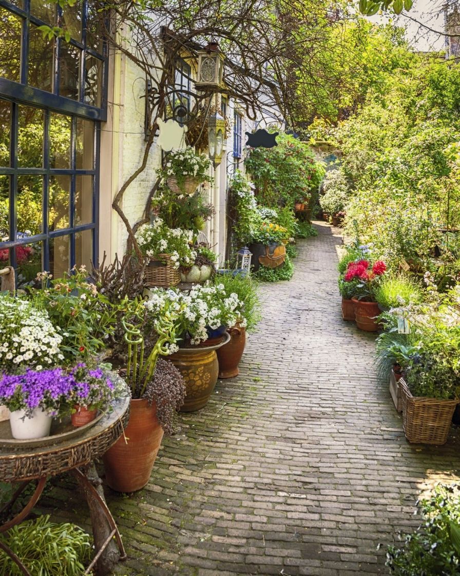 10 Best Patio Plants To Style Your Outdoor Space Plant Academy The Stem