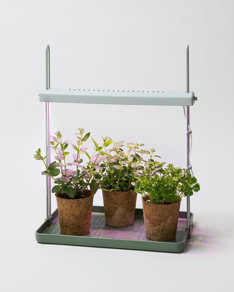 Elho Herb Light Garden The Stem