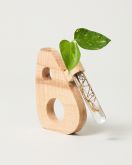 Plant propopgating station