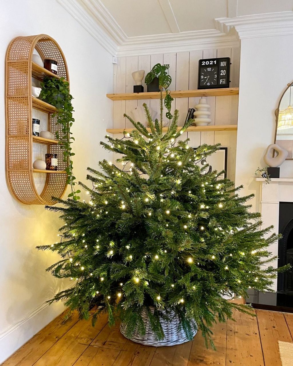 Real Cut Christmas Trees Nordmann Fir Trees Delivered to your door