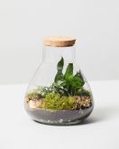 Glass Terrarium