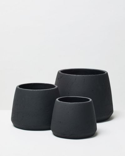 Pumpkin black 1