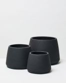 Pumpkin black 1