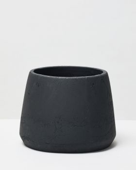 Pumpkin black 4