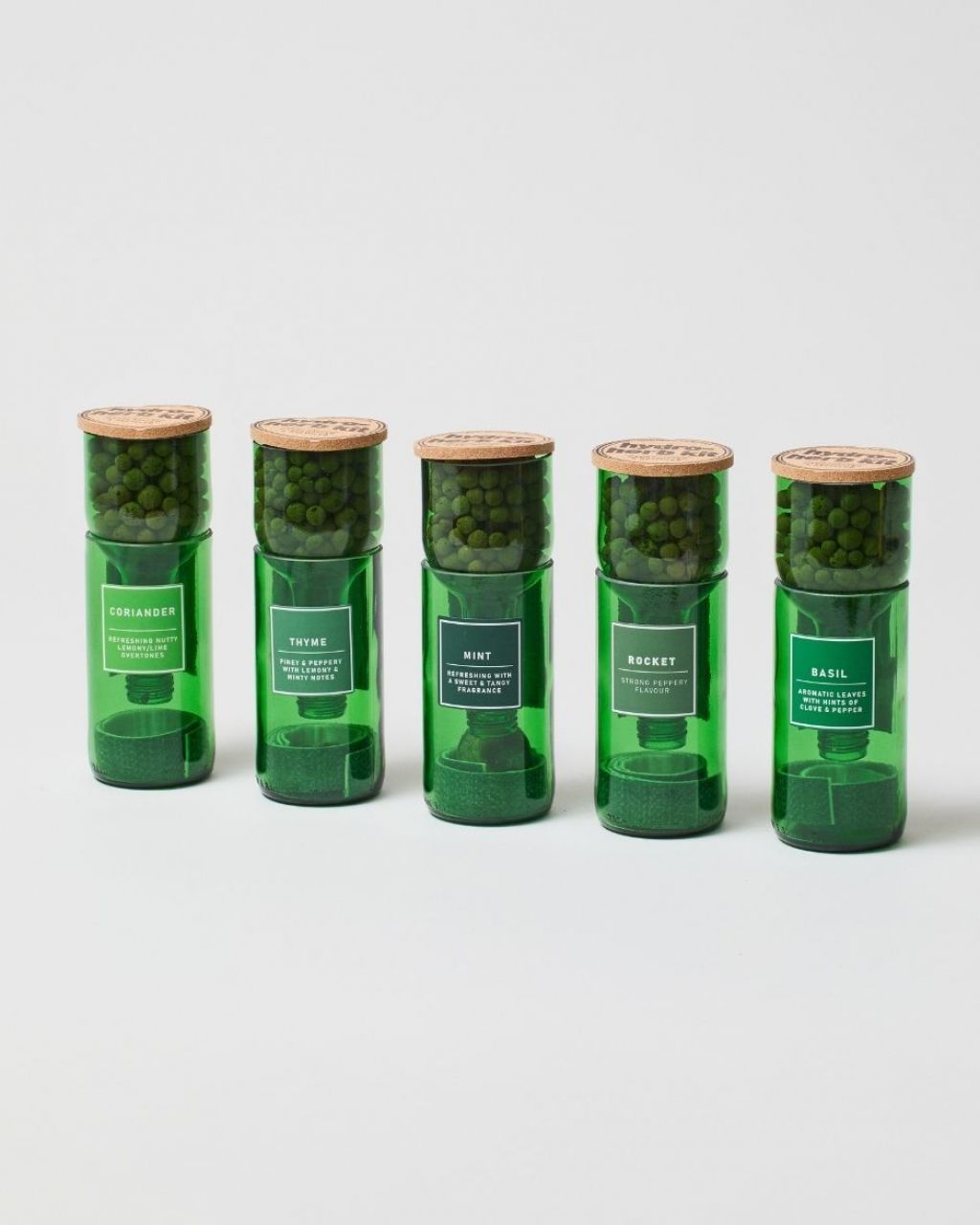 HydroHerb Growing Kit Grow Your Own Herbs The Stem