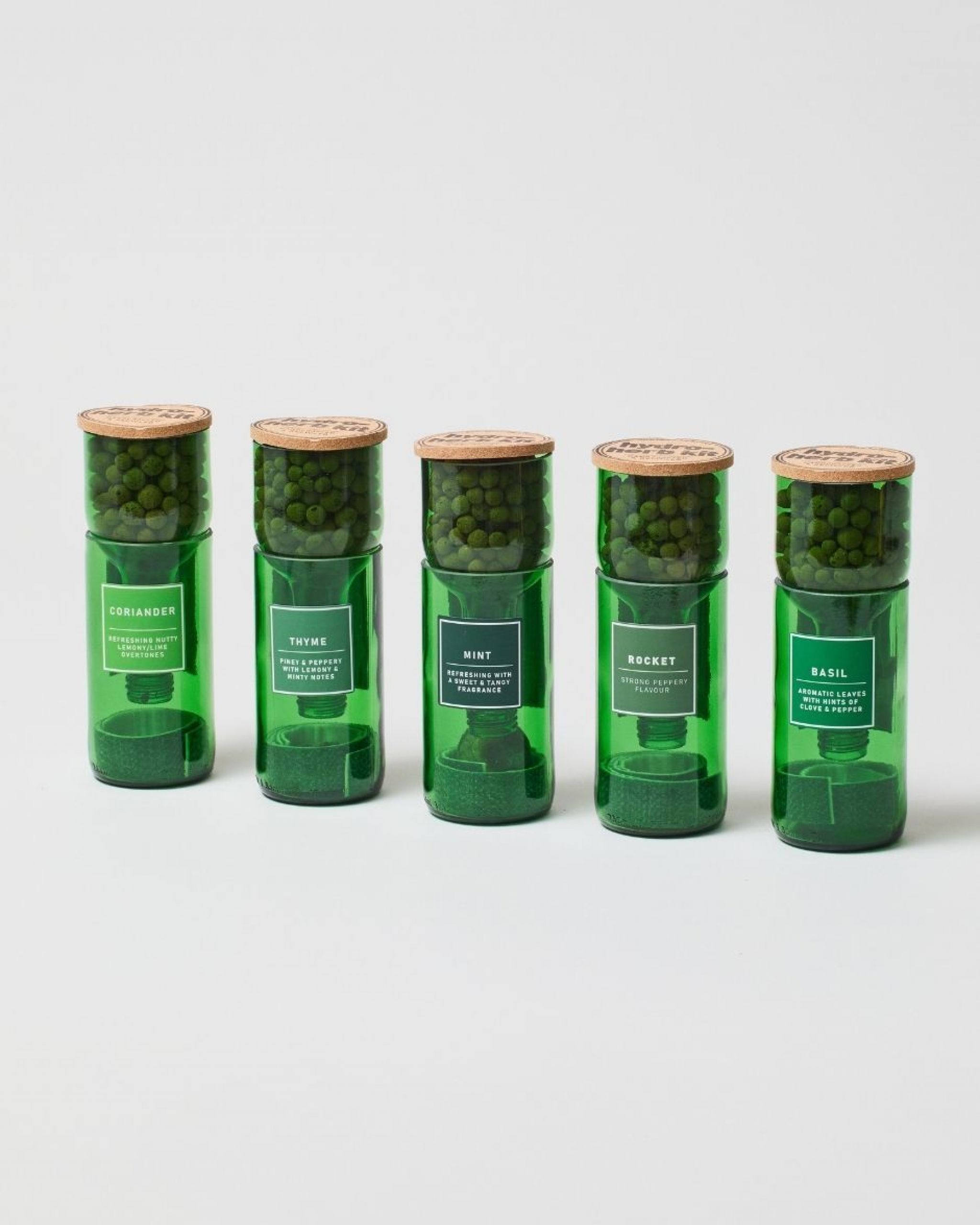 HydroHerb Growing Kit Grow Your Own Herbs The Stem