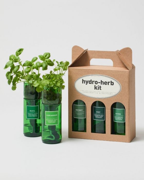 HydroHerb Growing Kit Grow Your Own Herbs The Stem