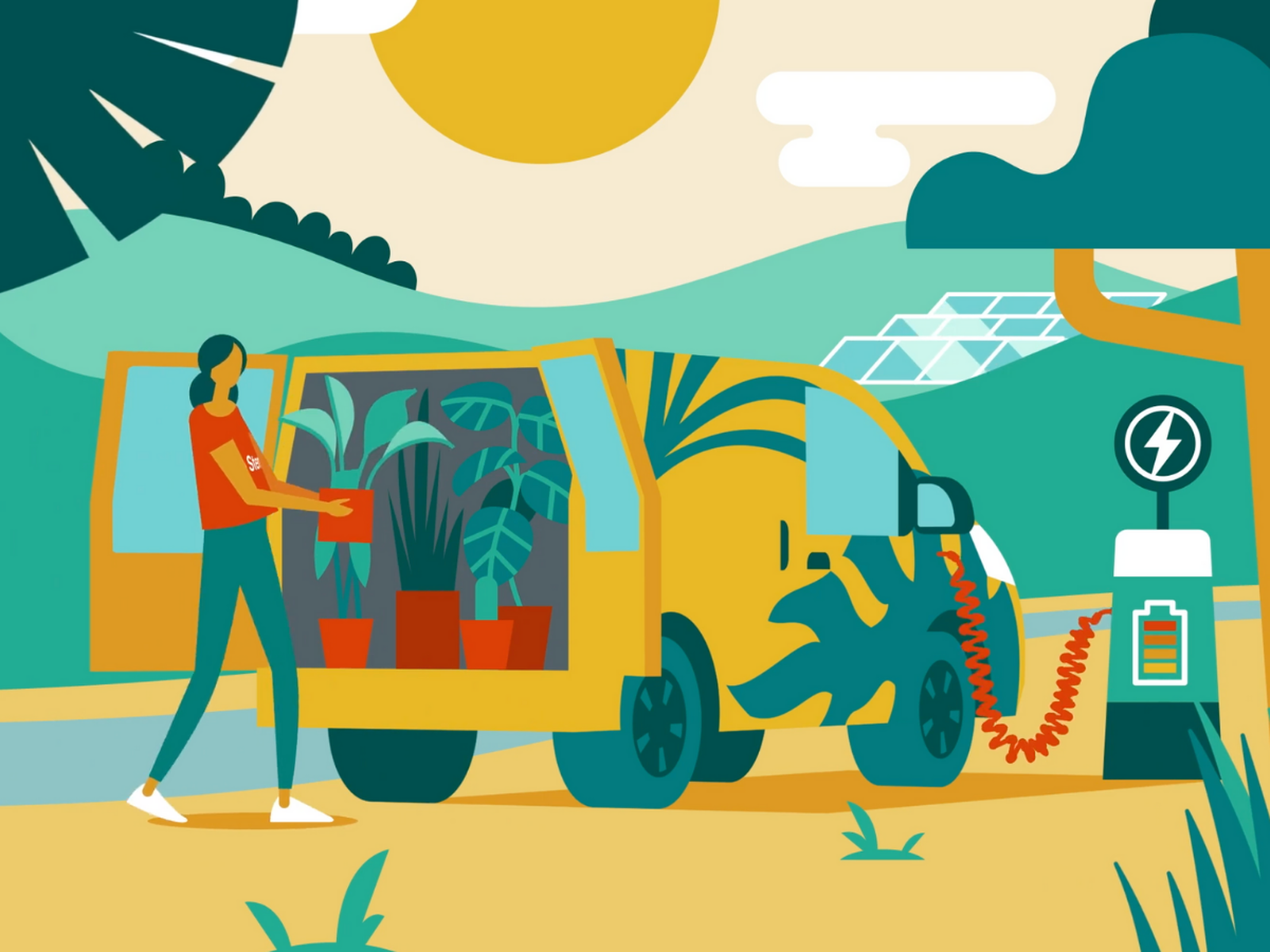 Sustainable House Plants Indoor Plants Delivered London